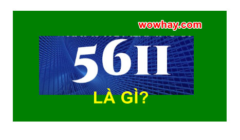 5611 là gì? Ý nghĩa đặc biệt 5611 đúng nhất - Trường THPT …